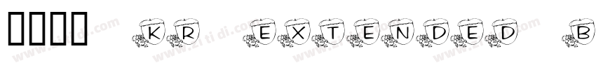 有愛鋭方 KR Extended Bol字体转换